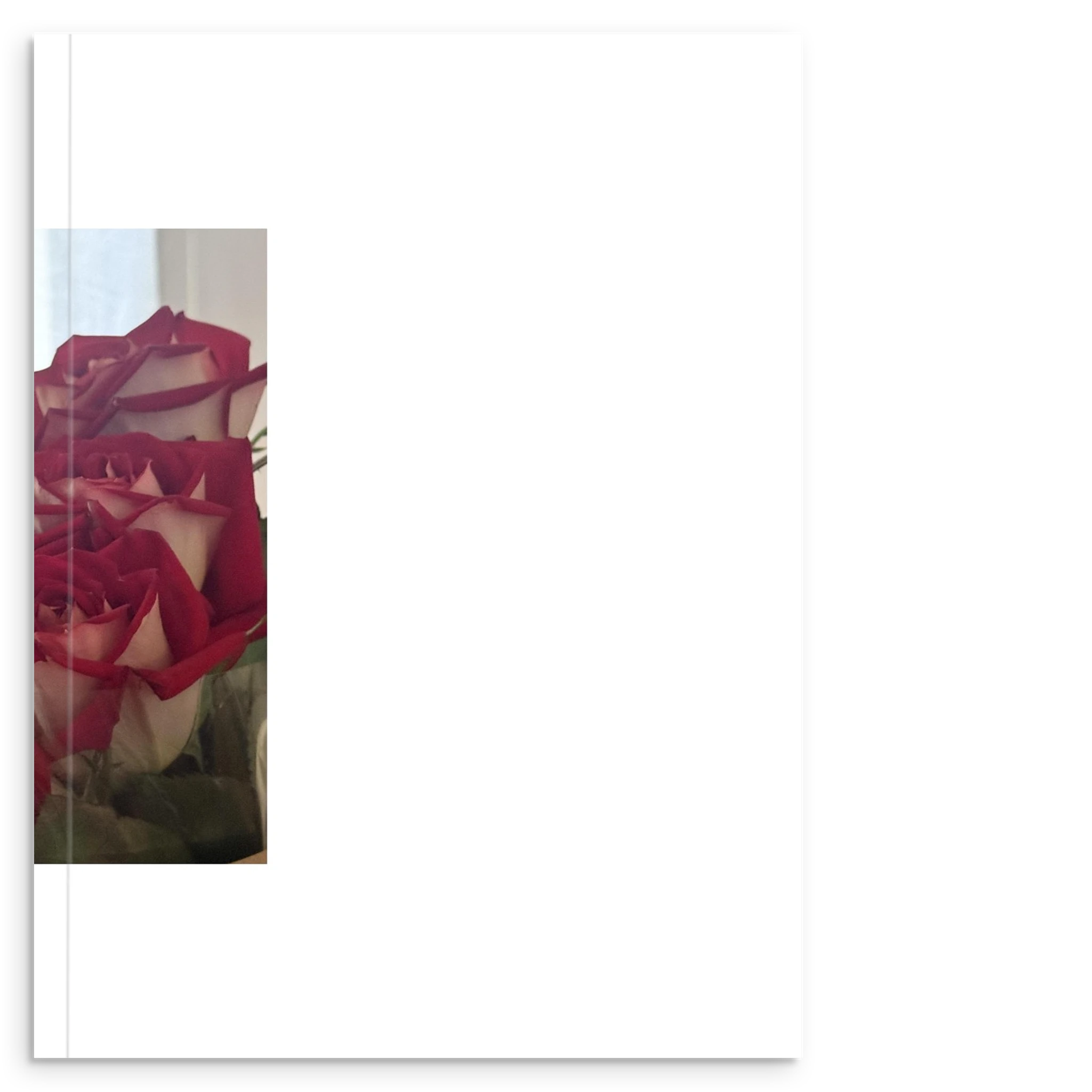 01548562-11dd-4385-bc17-e71679a5b833