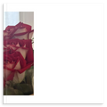 673c9765-f02a-47d0-bd4a-3cf1d365fa28