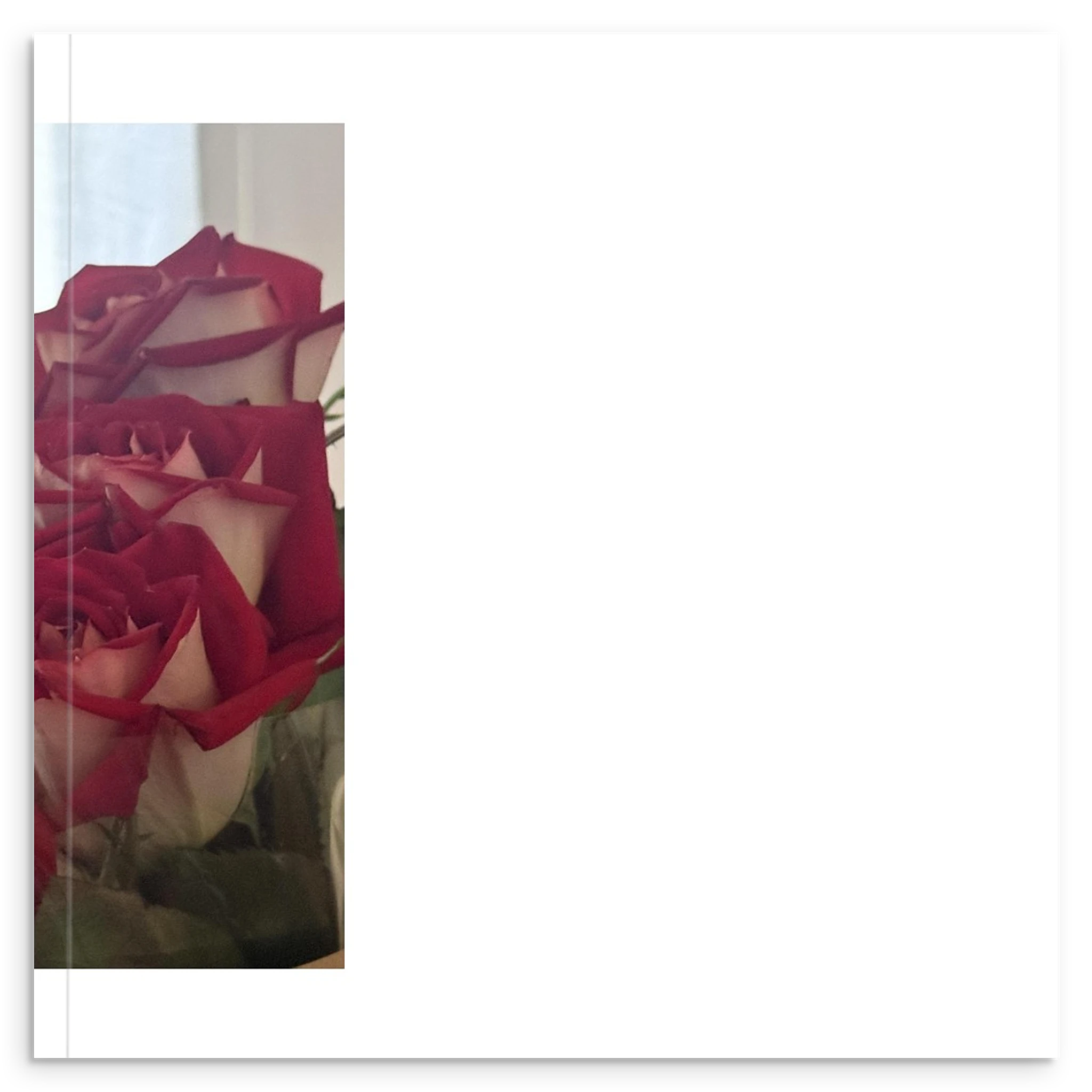 6d16a65f-ef3b-426b-b119-7d021ddfd3ee
